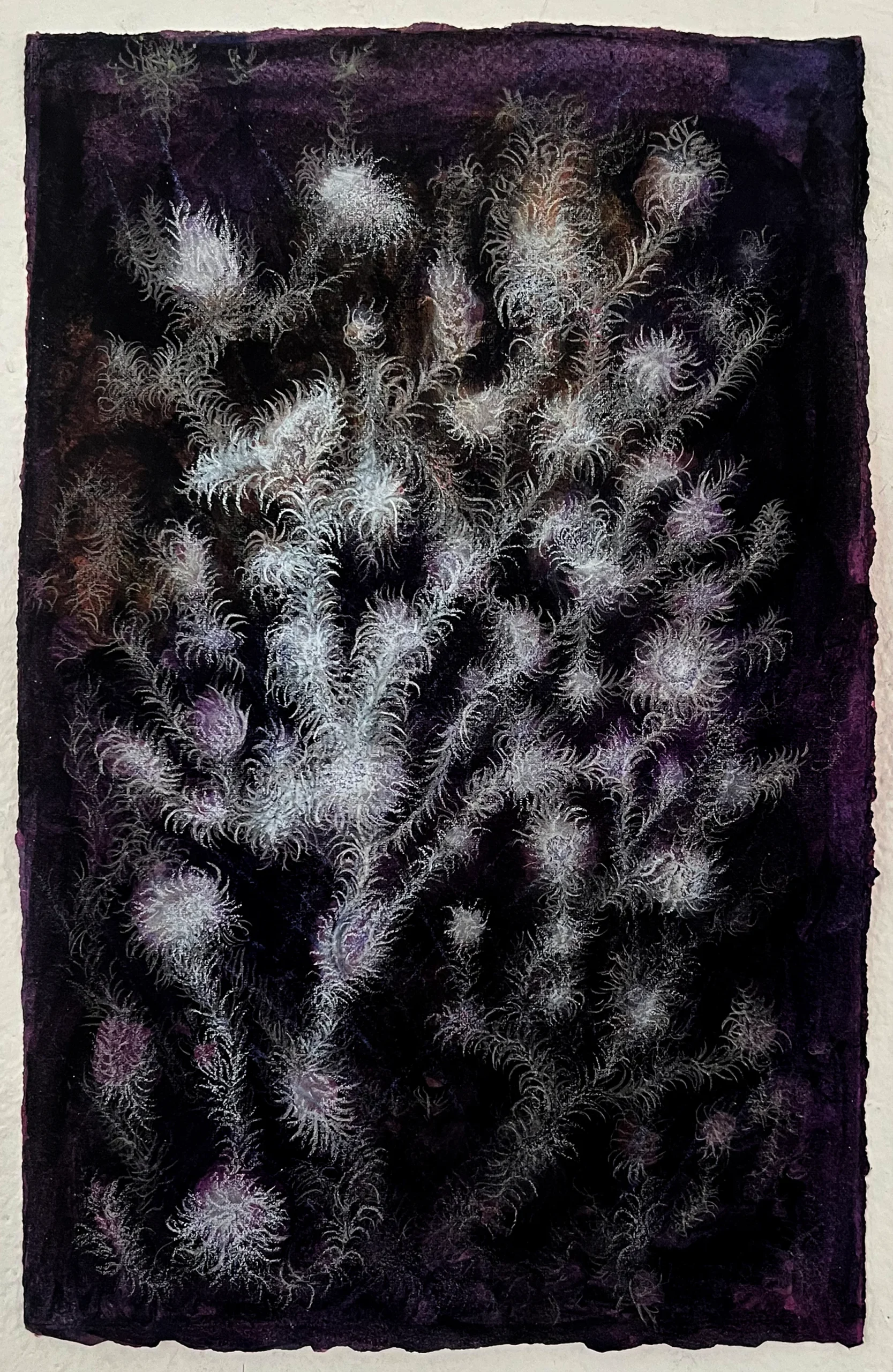 Mycorrhizal 2